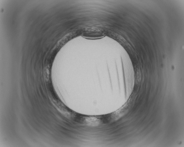 X0000086100183200704202250