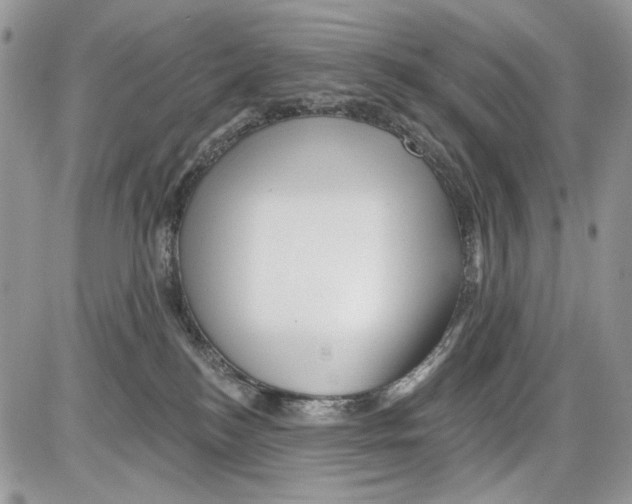 X0000086100184200704202250