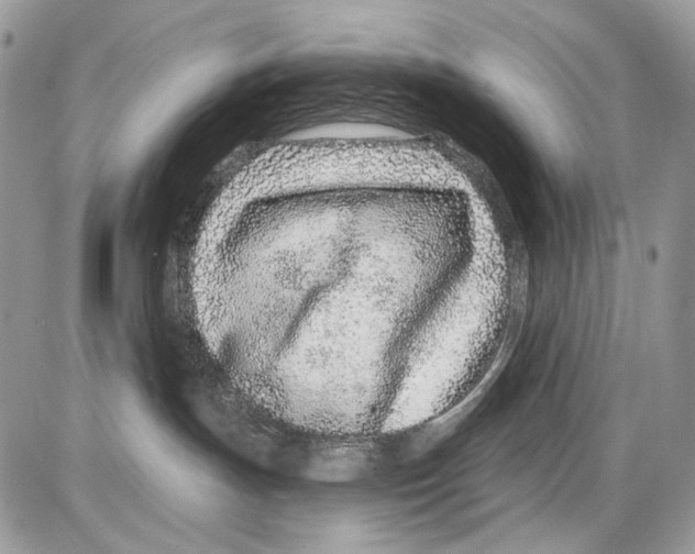 X0000086100191200704202250
