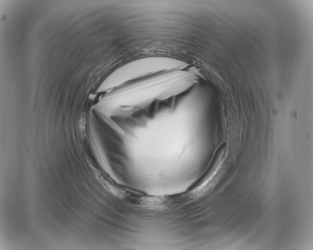 X0000086100192200704202250