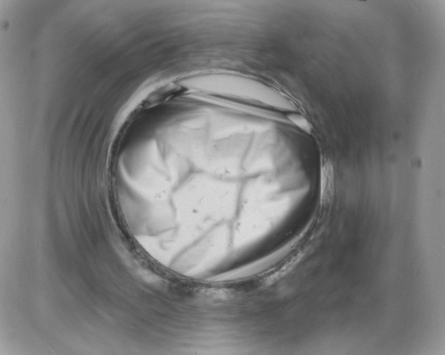 X0000086100195200704202249