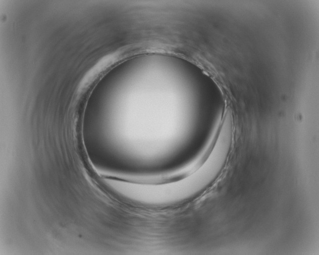 X0000086100197200704202249