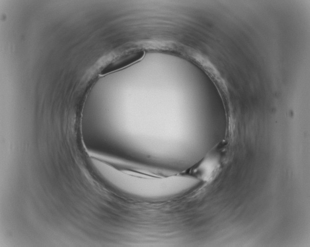 X0000086100201200704202249