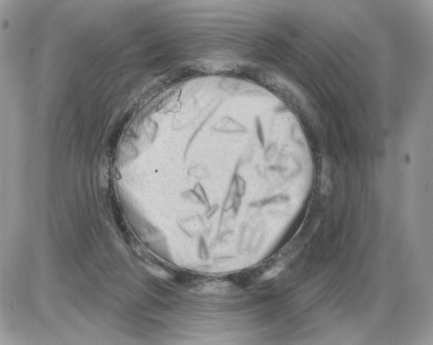 X0000086100210200704202249