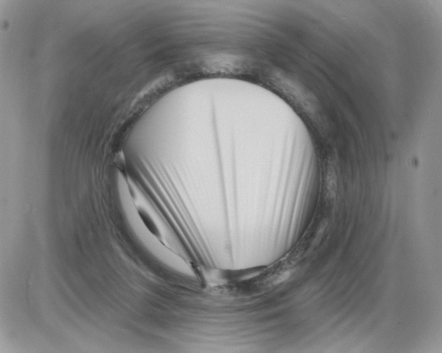 X0000086100211200704202249