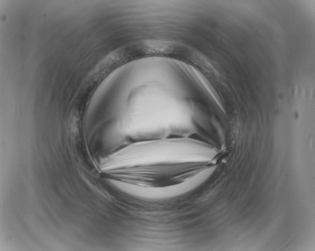 X0000086100215200704202249