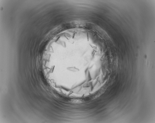 X0000086100218200704202249