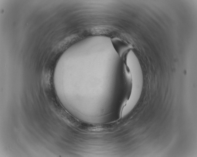 X0000086100219200704202249