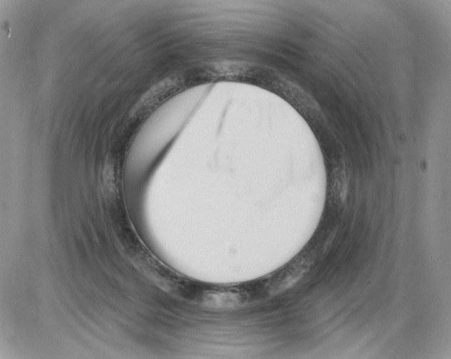 X0000086100220200704202249