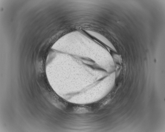 X0000086100224200704202249