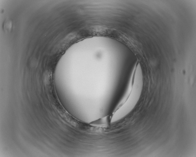 X0000086100225200704202249