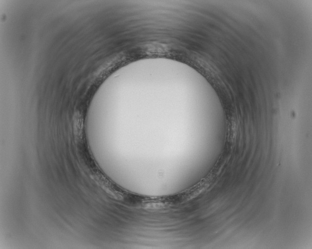 X0000086100228200704202249