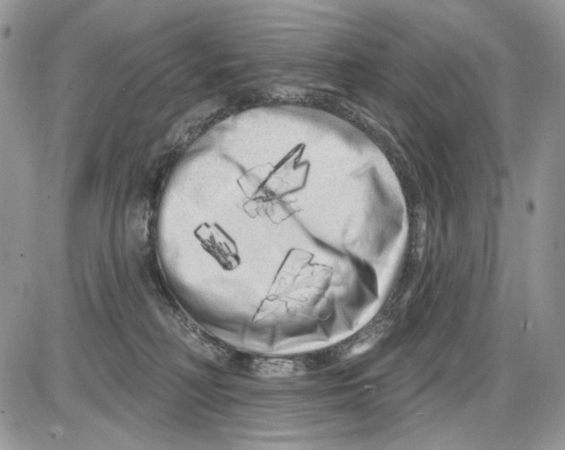 X0000086100230200704202249