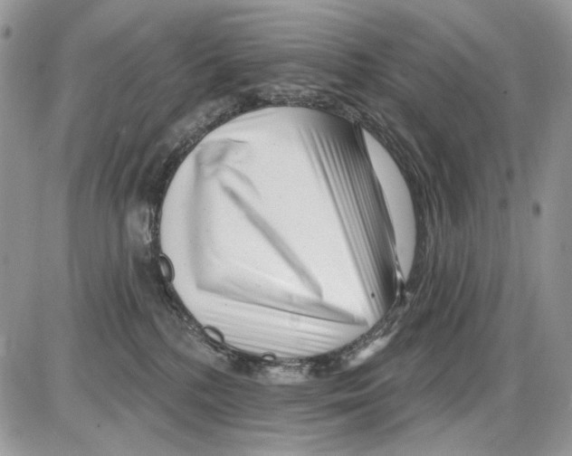 X0000086100232200704202249