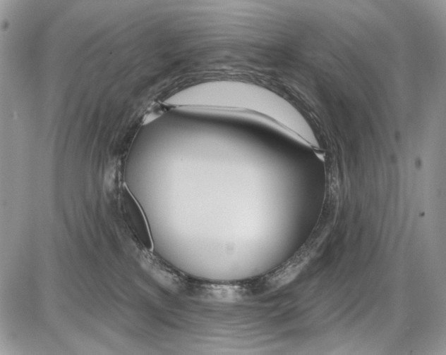 X0000086100233200704202249