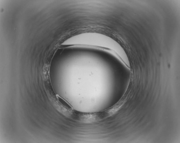 X0000086100237200704202249