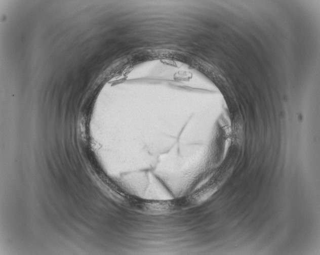 X0000086100238200704202249