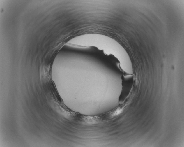 X0000086100239200704202249