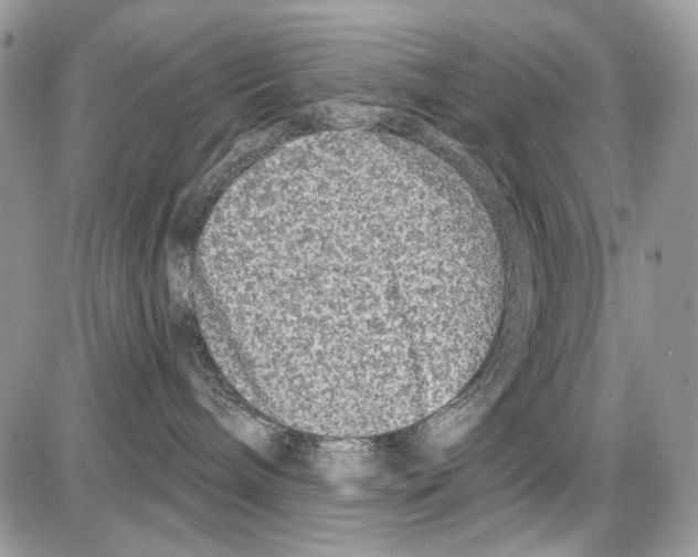 X0000086100240200704202249