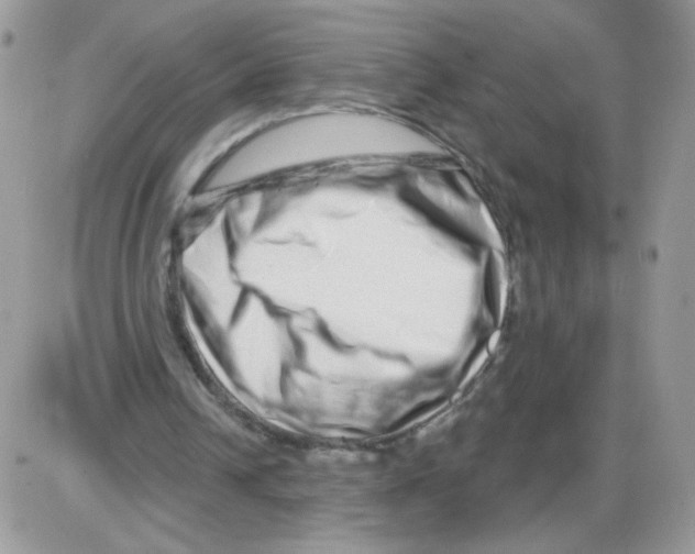 X0000086100242200704202248