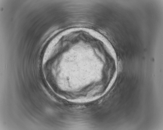 X0000086100243200704202248