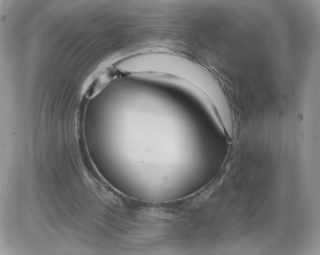 X0000086100244200704202248