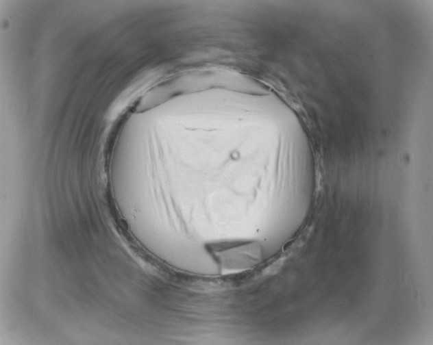 X0000086100245200704202248