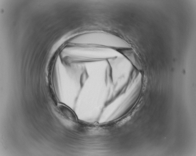 X0000086100246200704202248