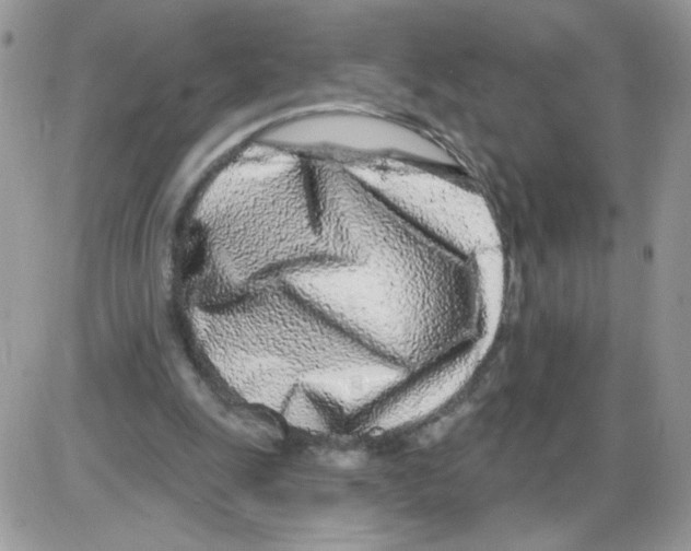 X0000086100247200704202248