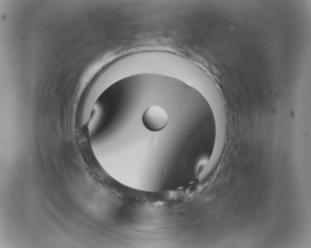 X0000086100248200704202248