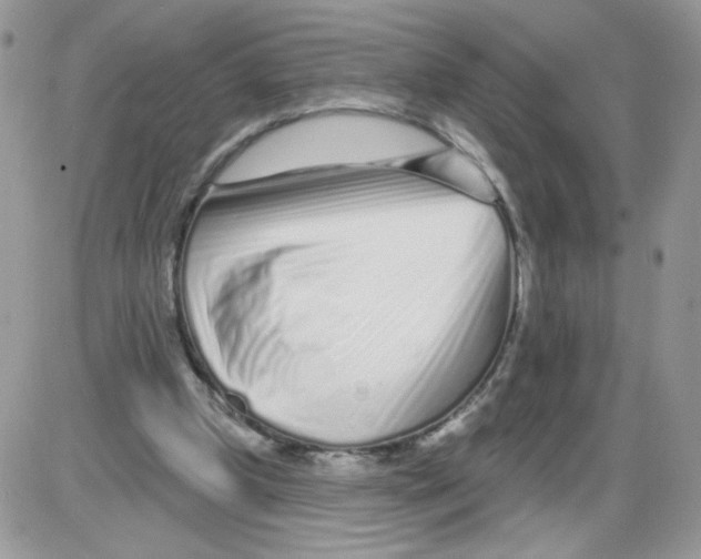 X0000086100249200704202248