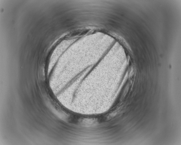 X0000086100251200704202248