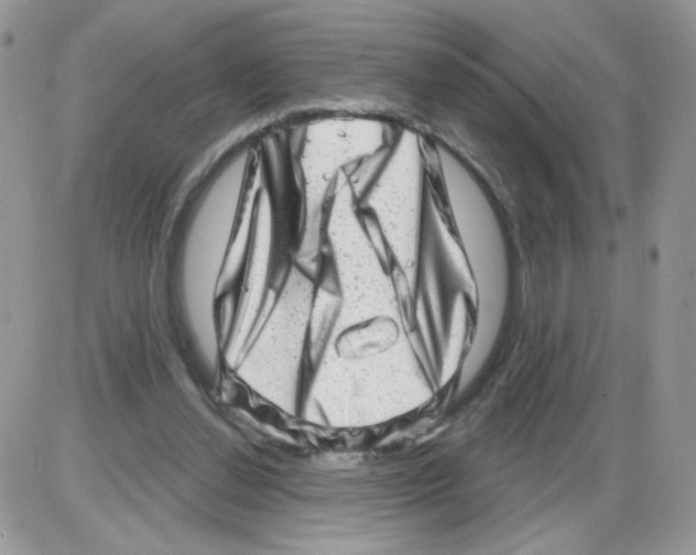 X0000086100252200704202248