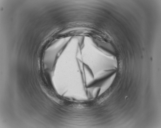 X0000086100254200704202248