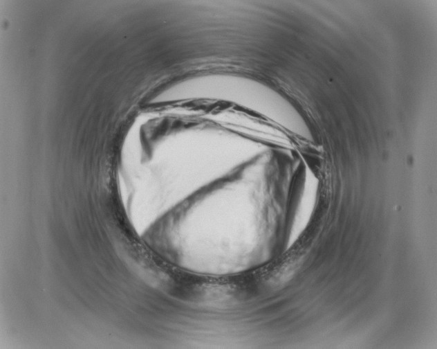 X0000086100255200704202248