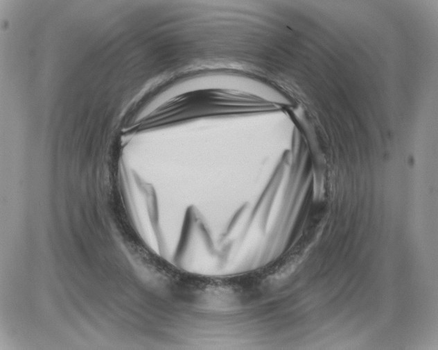 X0000086100256200704202248