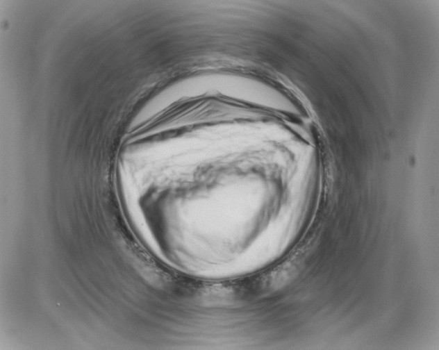 X0000086100257200704202248