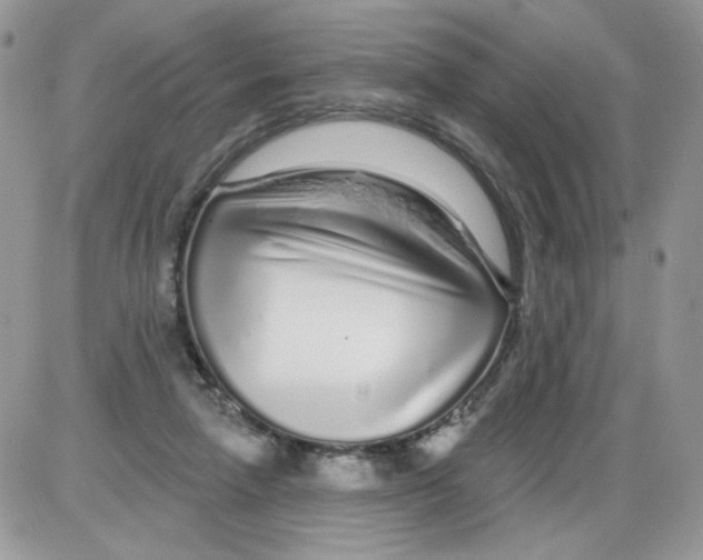 X0000086100258200704202248
