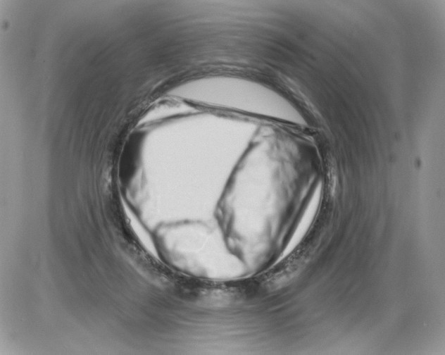 X0000086100259200704202248