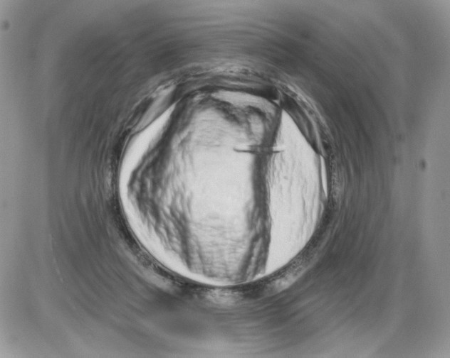 X0000086100261200704202248
