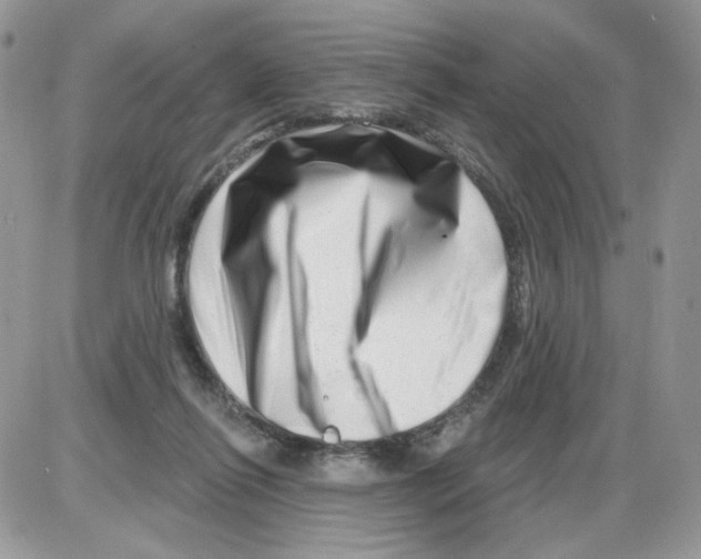 X0000086100262200704202248