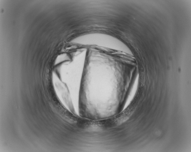 X0000086100263200704202248