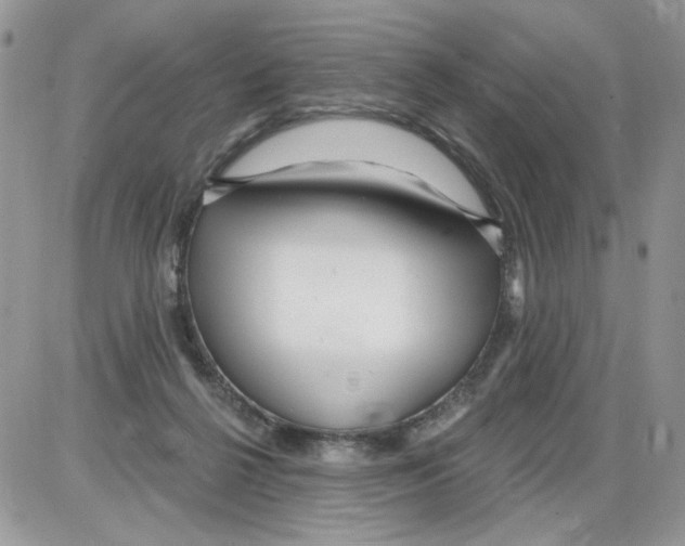 X0000086100264200704202248