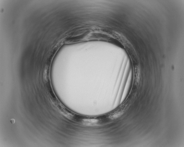 X0000086100266200704202248