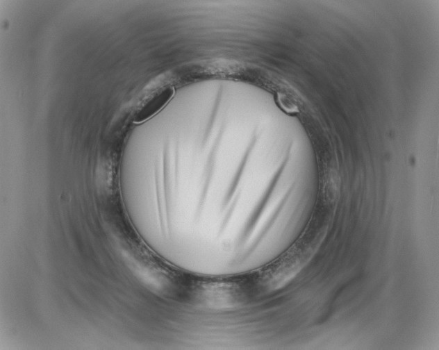 X0000086100268200704202248
