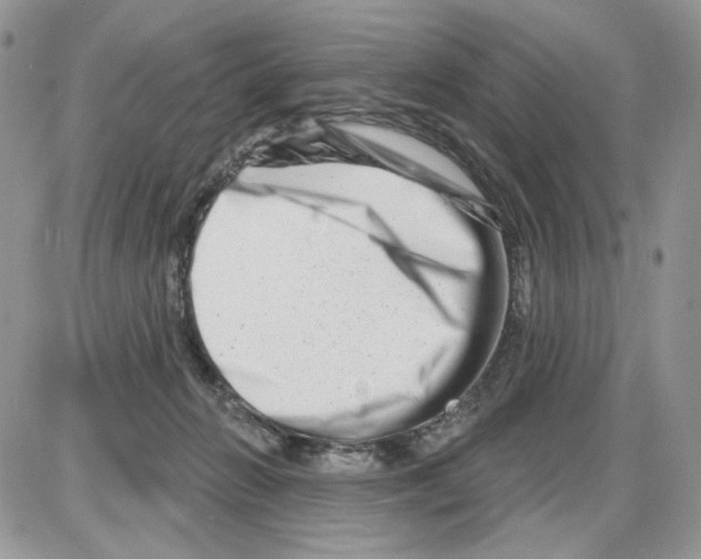 X0000086100270200704202248