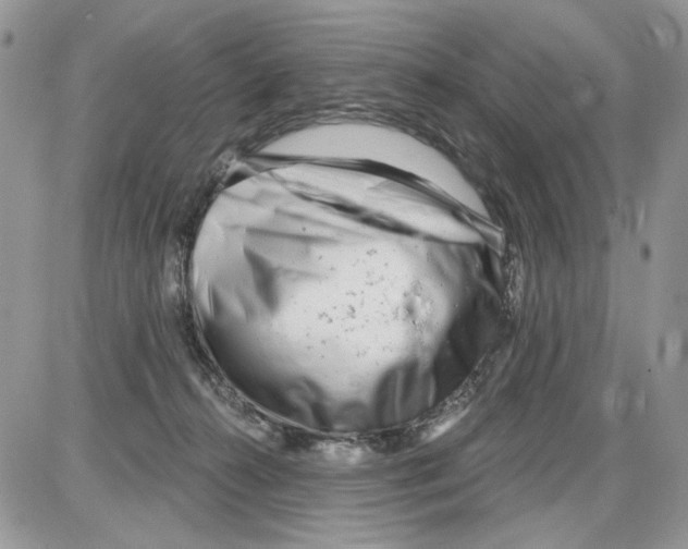 X0000086100272200704202248