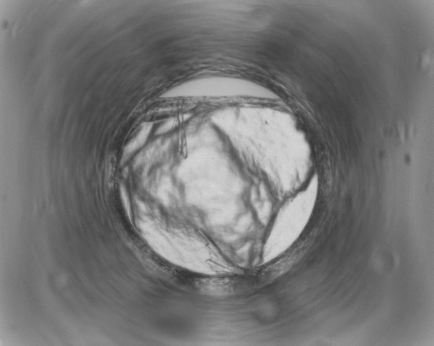 X0000086100273200704202248