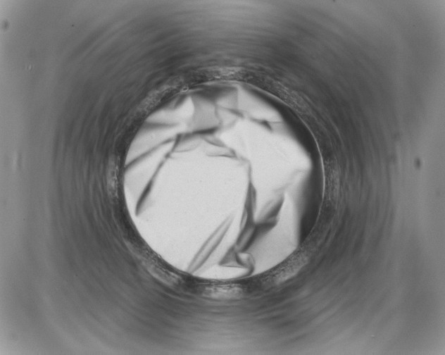 X0000086100274200704202248