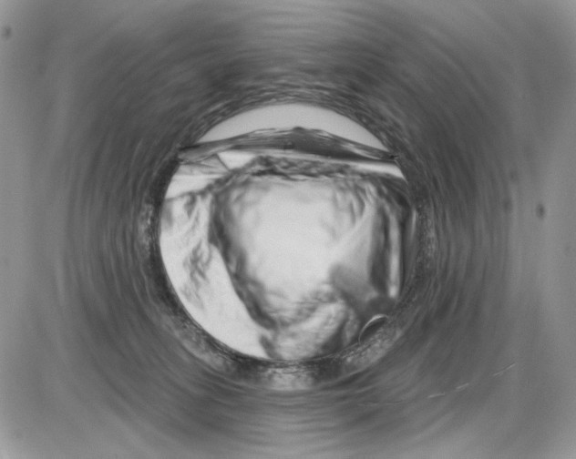 X0000086100275200704202248